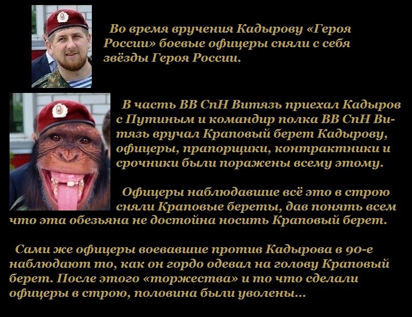 Статусы про кадырове Статусы про кадырове