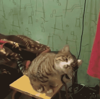 1396640732_806860828.gif