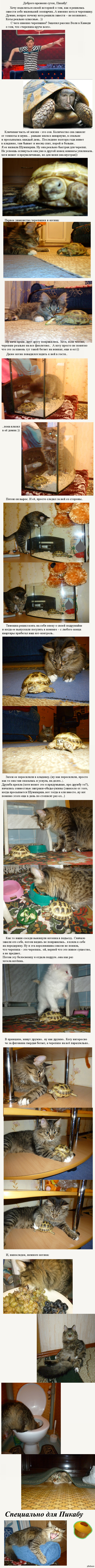 Мой маленький зоопарк. Очень маленький.