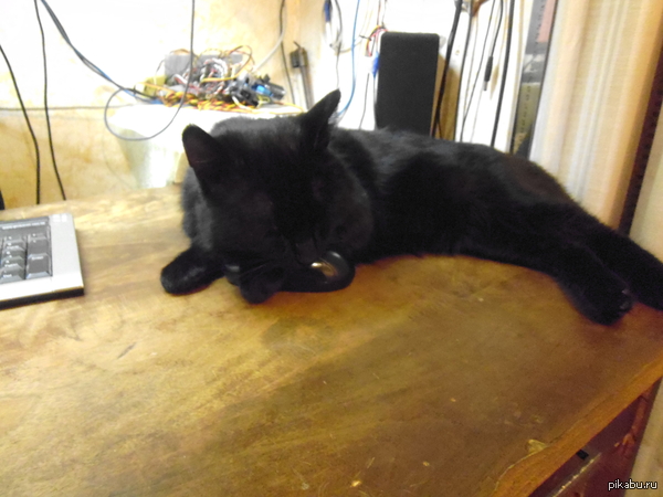 �� � ��� �������� � ����� ��������?