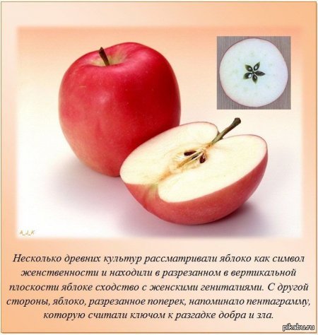 Interesting fact number 25 (about apples and not only) - NSFW, Apples, Female, Femininity, Pentagram, Vagina, Women