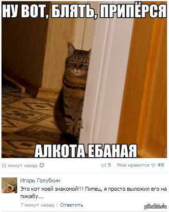 ������ ���������