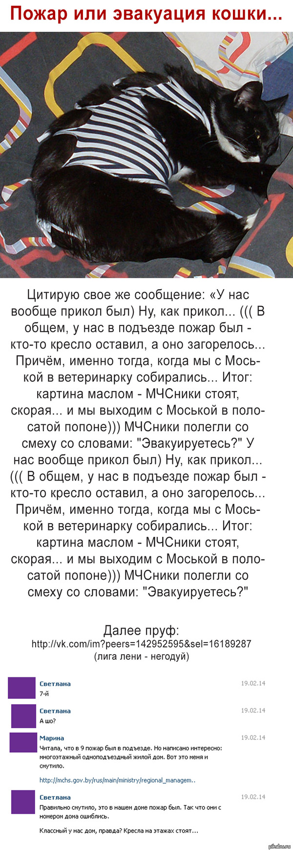 Кот: истории из жизни, советы, новости, юмор и картинки — Горячее, страница  31 | Пикабу