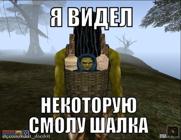 �������� ���� ����������