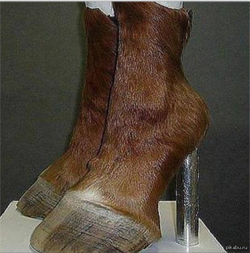 ���� ������ ����� � ���