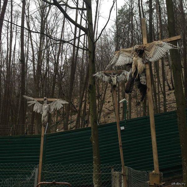 ��� ���� ���� �� ���������