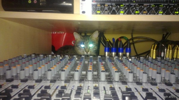 ������� ��������