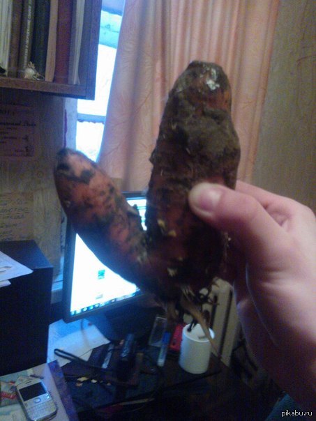 �������� ��������� ��� ��� ����� �������� ���������� ?