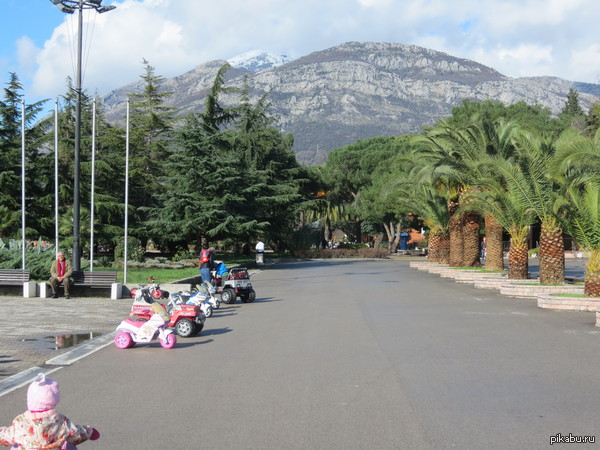 ������������ ���������, ������� 2014