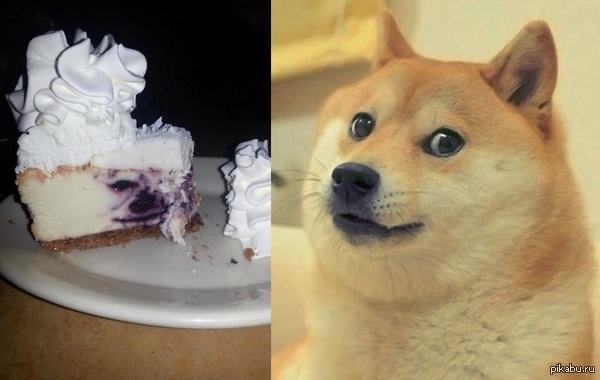 wow cake - Images, Cake, Dog, Wow doge, Doge