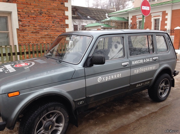Суровое охранное предприятия в г. Костроме.