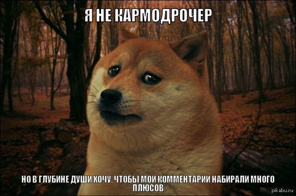 если ты ловил кого-то вечером во ржи не задумываясь сколько сил осталось если ты ловил кого-то вечером во ржи не задумываясь сколько сил осталось