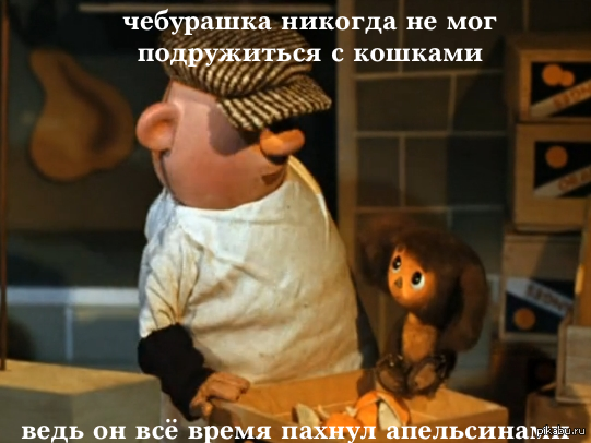 Где нашли чебурашку. Чебурашка апельсины мультфильм. Крокодил Гена и Чебурашка с апельсинами. Чебурашка и Гена в ящике с апельсинами. Чебурашка d ujhj,RT C fgtkmcbyfvb.