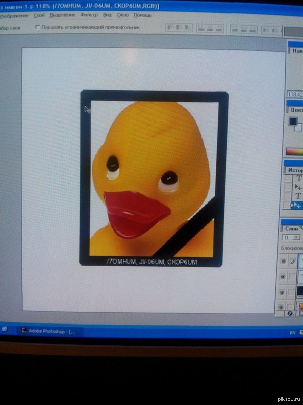     web-,      ""  .            .
