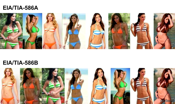 ����� ����