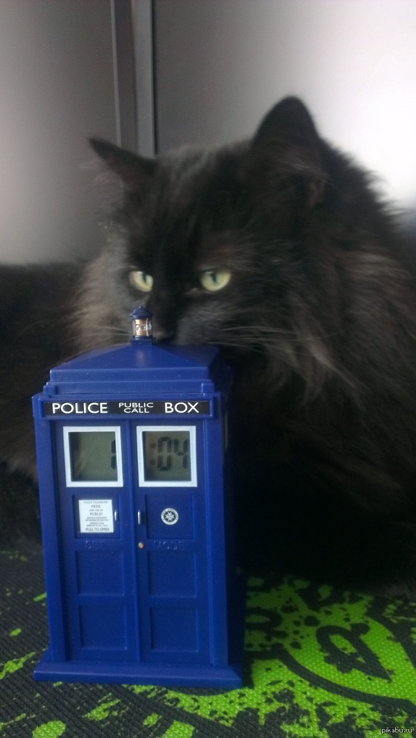 � ����������� ���� � �������.