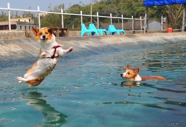 �� ����� �������������� �����������.