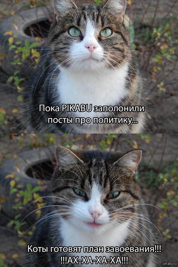 ��� ��������...