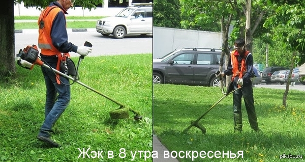 �����......