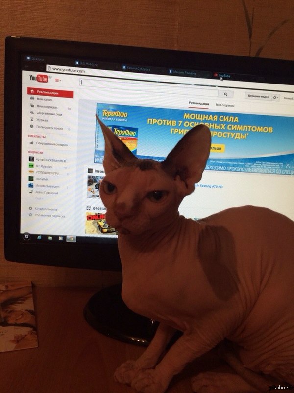 ��������������