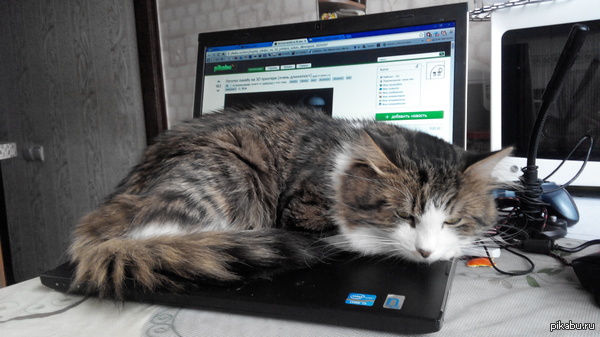 Ѹ��� �� ���� ������ ��� ������)