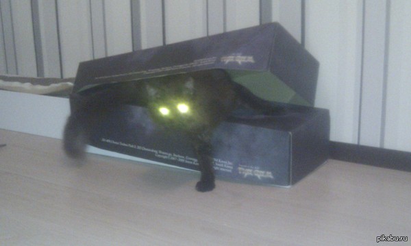 ����� ������ �� ��������....