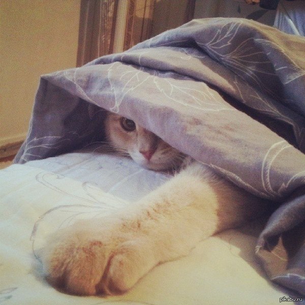 скрытая угроза