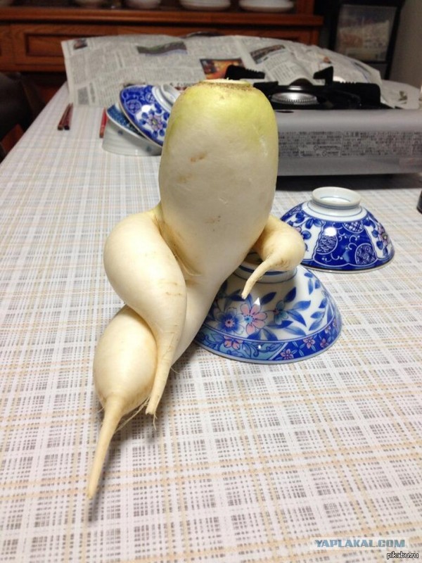 sexy - NSFW, Radish, , (With)