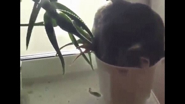 В тесноте да не в обиде.. | Пикабу