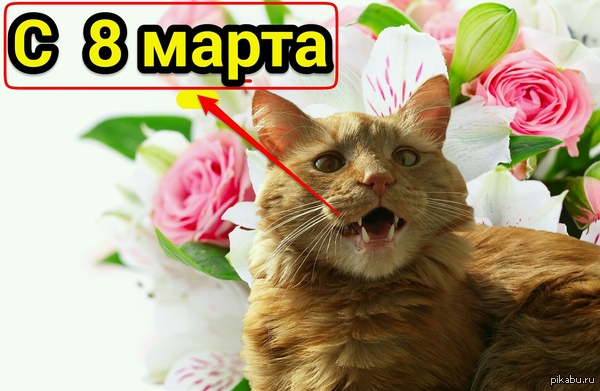 � 8 �����!