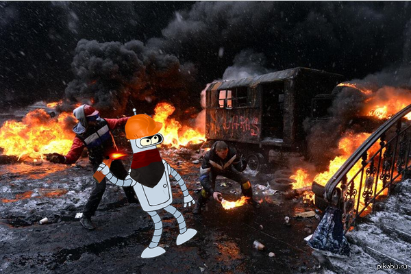 ������ ���� � �������