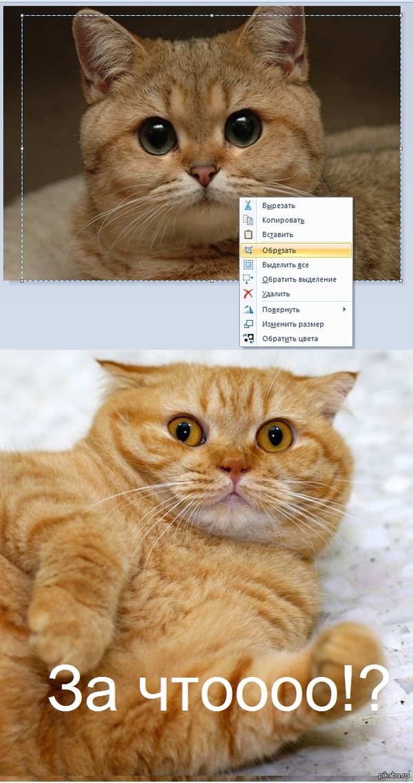 ������ ���, � ������� ������ � ����.