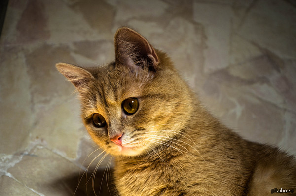 ���-�� � ��������� ��� ������=)