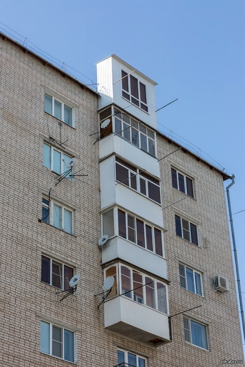 I'm a Boss Ass Bitch