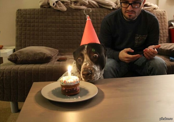 �� ������-��������,  ��� ��������� �����!!!