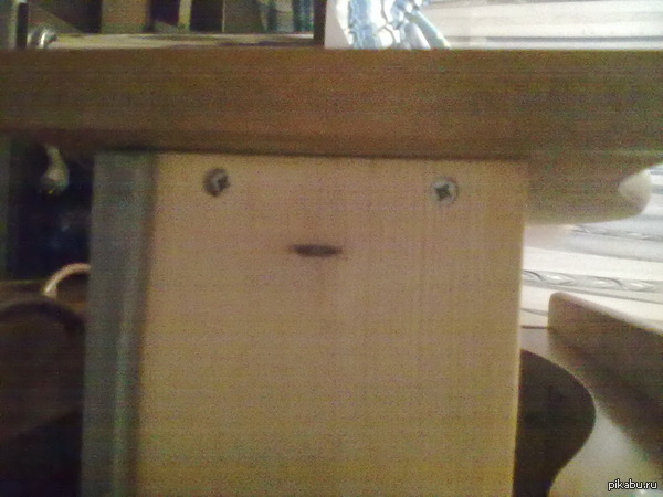 ���� ����� ������ ������ ����� �������. ������, ������.