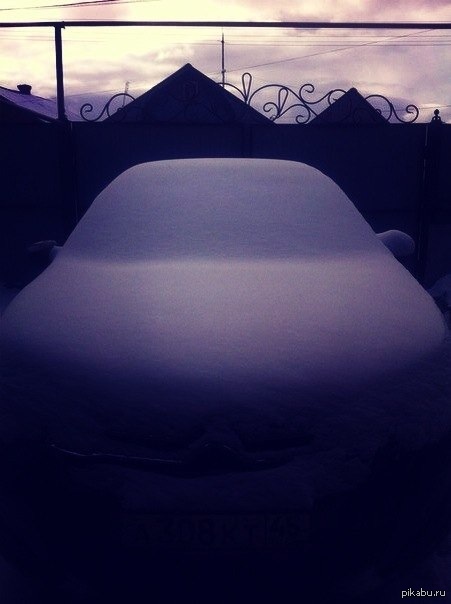 �������� ����(