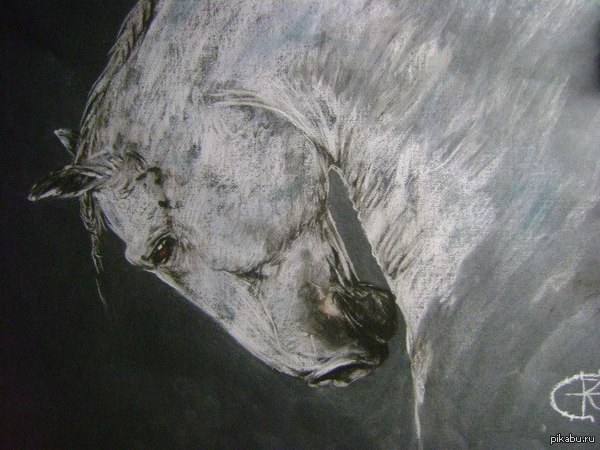 ��� �������.