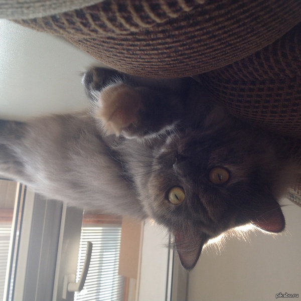 ��������� �������