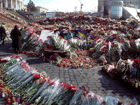 ��� ��������