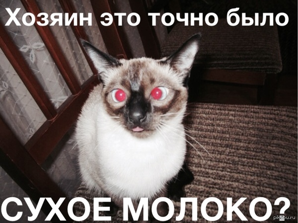 ���� ����� �������