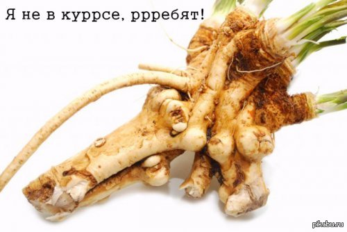 Для важных переговоров! Для любителей "хрен знает"