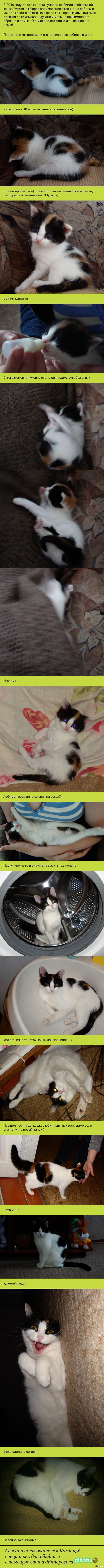 ��� ������� �����