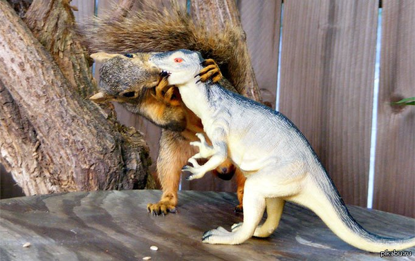 ���������� �������