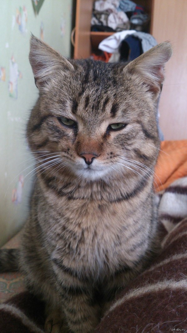 ����� ������� ������?