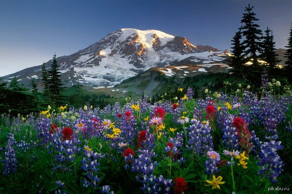 Просто классный пейзаж.