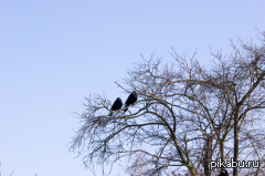 � ���� ��������-����������!