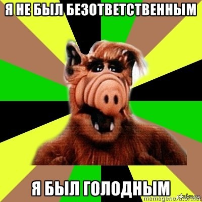 Котики.. сиськи.. А как же он? Он тоже крут :с