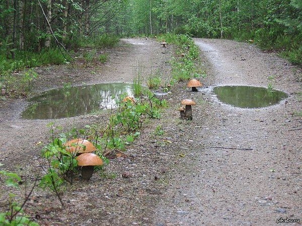 Следующий, или кому еще можно предложить вступить в состав России