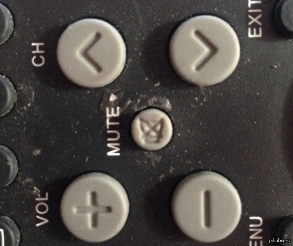 ������ ��� ������ ���-�� ���������